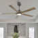 Bascio 5 - Blade LED Standard Ceiling Fan with Remote Control and Light Kit Included