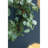 Set Of 2, D14.2" Eucalyptus Candle Ring, Green