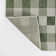 Drora Traditional Geometric Bold Gingham Green/Cream Indoor/Outdoor Rug