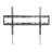 Lauer Fixed Universal Wall Mount for 37"-80" Flat Panel Screens