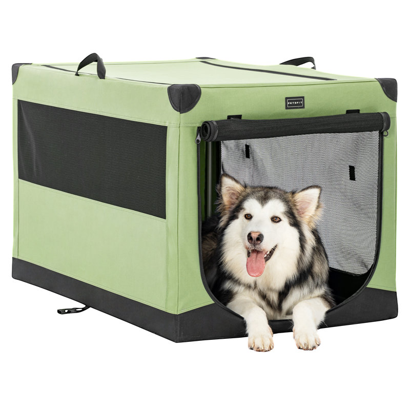 Cage pour chien réglable Tucker Murphy Pet ™, Très grand (H 25 po x l 39,5 po x P 25 po), Vert