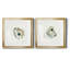 «Old Salt Shell I», ensemble de 2 reproductions d'art encadrées-2118285762-2126001041-2048829127