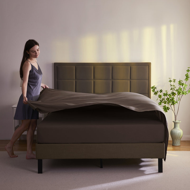  Ensemble de draps hypoallergéniques à double brossage 1800 Series, Ensemble de draps pour lit simple avec 1 taie d'or