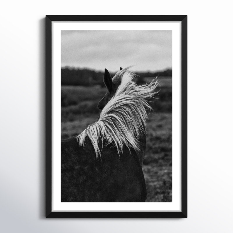 Horse Back - Picture Frame Photograph