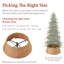 Rattan Tree Collar-91215419-91215420