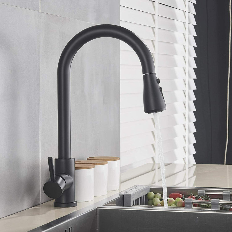 Belfry Kitchen Larsen Pull Out Kitchen Faucet