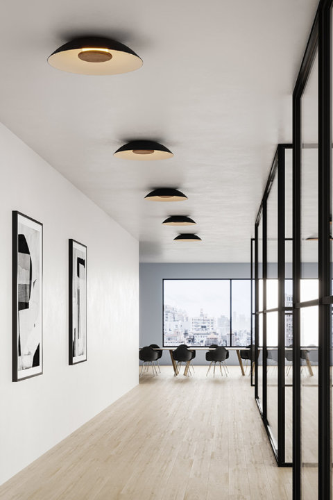 Flush Mount Lighting