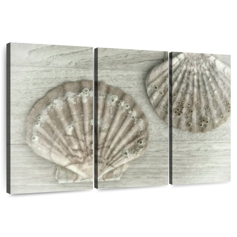 Deux très grandes coquilles de pétoncles Aletra, H 20 po x l 33 po