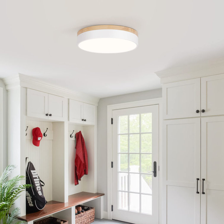Modern Dimmable LED Close to Ceiling Light