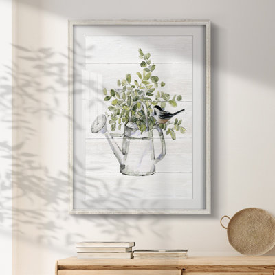 Coella -Gallery Wrapped Canvas