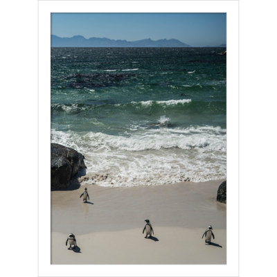 Perolio "Coming in to the Beach" Print