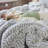 Peak of Cozy Coma Inducer Oversized Comforter Set-59827025-59827026