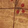 Arnim Floral Indoor Rug