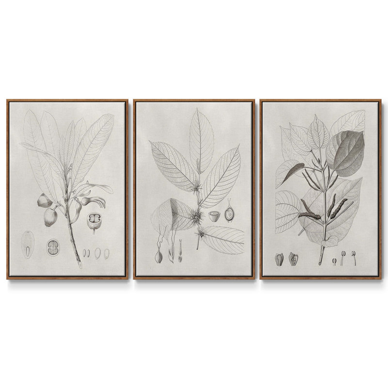 " Neutral Spring I " 3 - Pieces, Walnut, 36" H x 72" W
