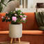 Plaited Style Cylinder Round Planter with Feet-2146352481-2146352486