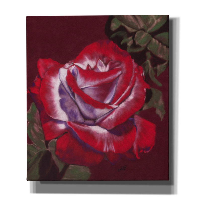 'Ruby' by Barbara Keith, Canvas Wall Art, 30" H x 26" W x 1.5" D