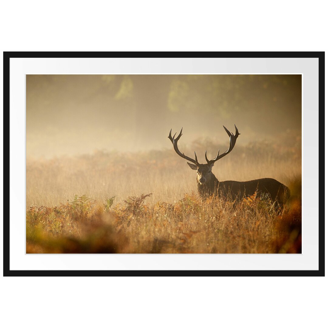 Gerahmtes Papierbild Rotwild Hirsch im Nebel