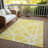 Machine Washable Indoor/Outdoor Chayden ACN1040 Rug-1241633155