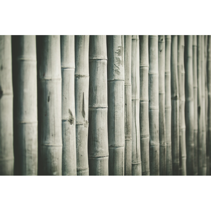Bamboo Background by 35007 - Wrapped Canvas Print, 51cm H x 76cm W x 3.8cm D