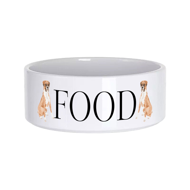 Vivid Squid Wholesale Ceramic / Porcelain Decorative Bowl 1