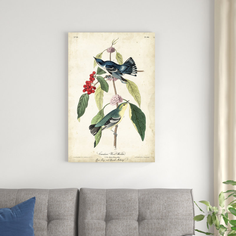 Fauvette en bois céruléen, H 36 po x l 24 po x P 1,25 po
