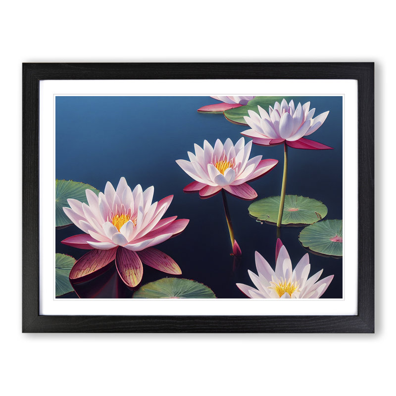 Cosmopolitan Water Lily Flowers - Single Picture Frame Painting, Black, 46cm H x 64cm W x 2cm D