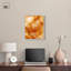Sunlit Bloom II Canvas Floral Abstracts par -195448356-195448367