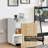 Avaiah 16 " Wide 2 Vertical Filing Cabinet