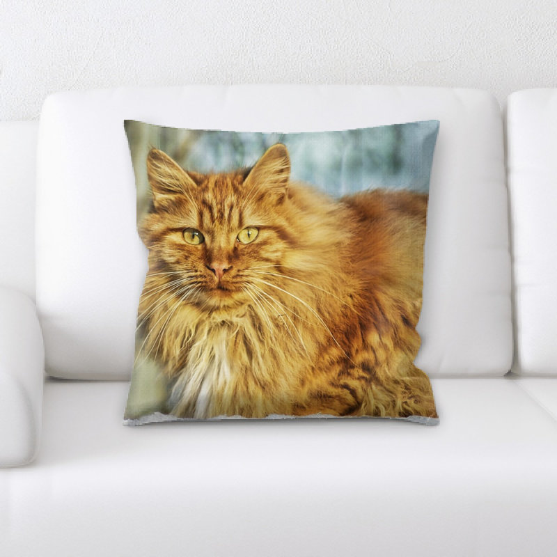 Coussin pour chat