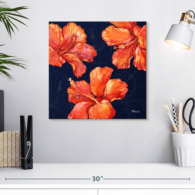 Hibiscus Harnek Hilo, H 16 po x l 16 po