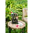 Decorative Woodland Gnome Water Fountain With LED Light