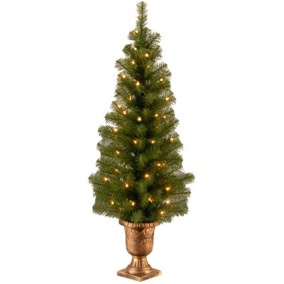 Pre-Lit Spruce Christmas Tree