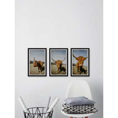 Triptyque de cornes