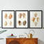 Lamarck Shells IV - reproduction encadrée sur mesure de qualité supérieure mate - 3 pièces-149767324-149767325