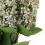 Tige de fleur artificielle Cole et Grey-1192675288-1192675292
