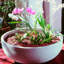 Orinoco Plastic Pot Planter-1564307498-1564307500