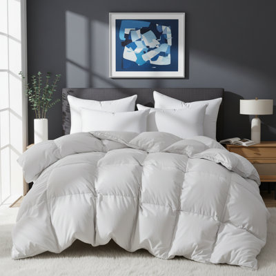 All Season Goose Down & Feather Fiber Duvet Insert Down Comforter