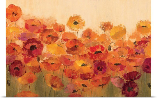 «Summer Poppies» par Aniessa, reproduction d'art, H 12 po x l 18 po x P 1,5 po, Toile
