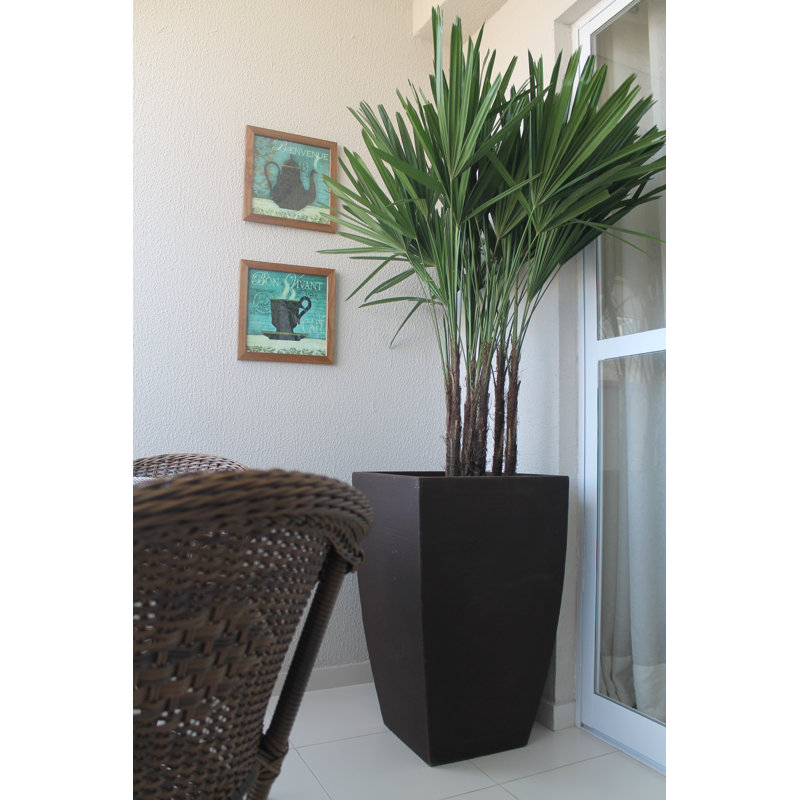 Pot à fleurs en plastique Chris, Café, H 30 po x l 12,2 po x P 12,2 po