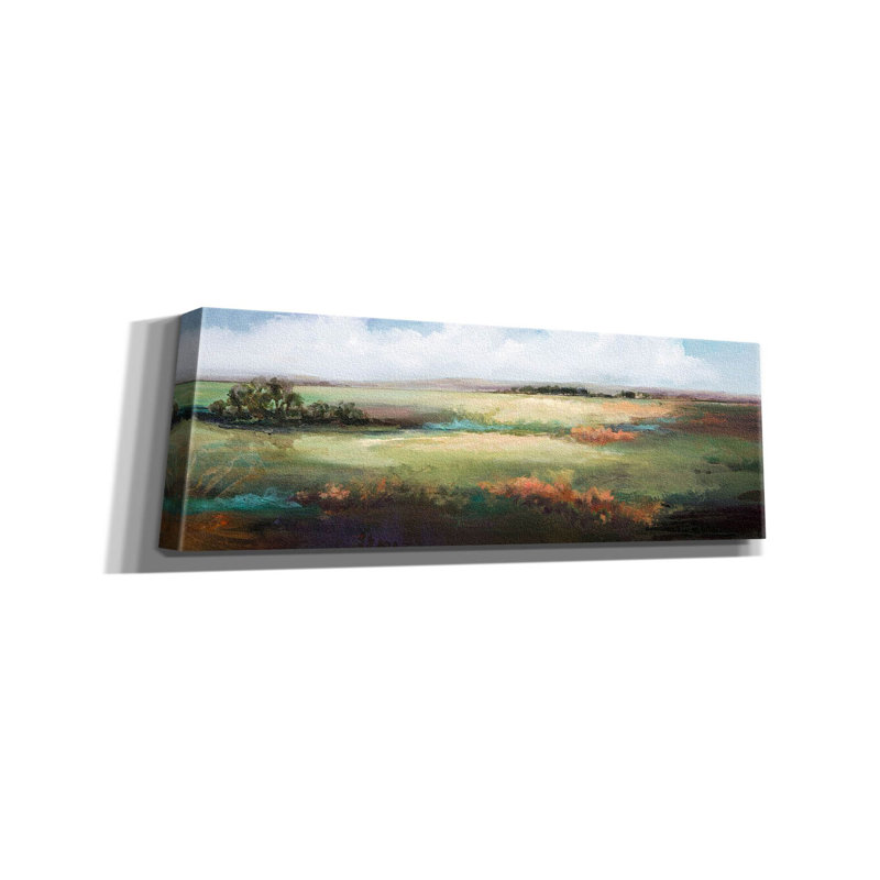 «A Day To Be Lazy On Canvas» par Karen Hale, reproduction, H 20 po x l 60 po x P 1,5 po