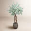 Silver Dollar Eucalyptus Tree in Stone Pot