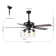 Rockett 52'' Ceiling Fan with Light Kit