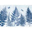 Bleu véritable II-87401861-98481575-98481580