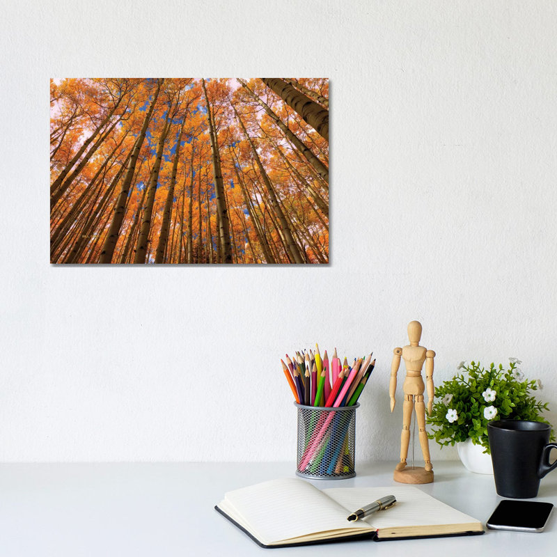 Orange Grove by Bill Sherrell - Wrapped Canvas Print, 20.32 cm H x 30.48 cm W