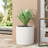 Mgo Planter-516315722