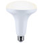 Étoile de mer 12 watts DEL BR40 2700K-5000K RVBBT à culot moyen 120 volts