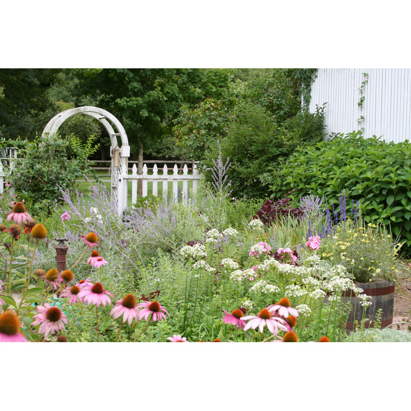 Jardin - photographie sur toile tendue, H 8 po x l 12 po x P 1,25 po
