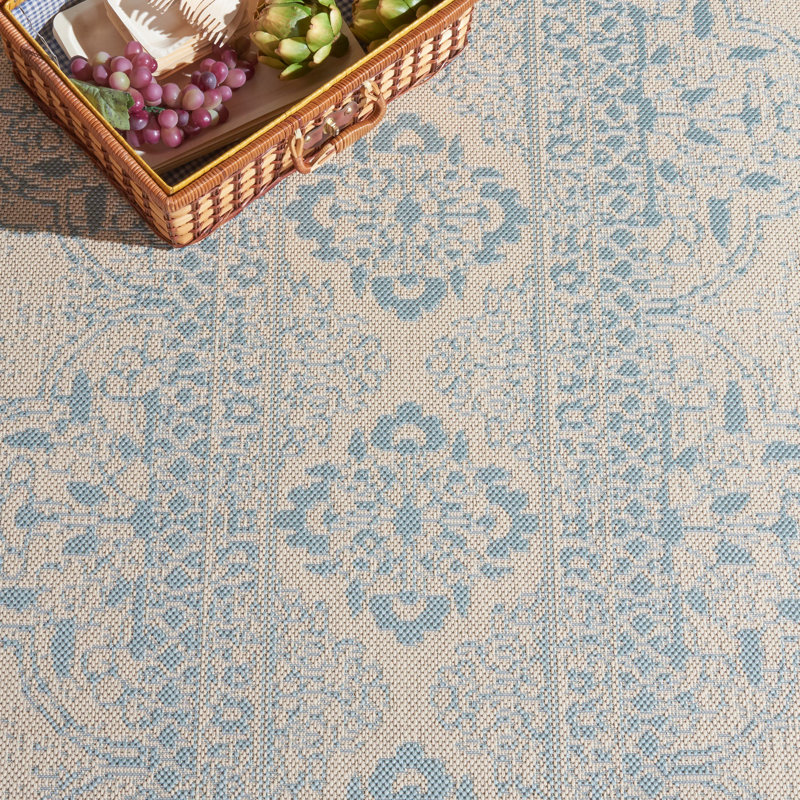 Danya Aqua/Cream Indoor/Outdoor Area Rug, Runner 2'2" x 8'