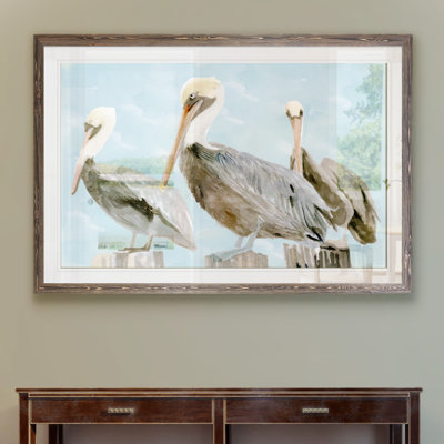 " Soft Brown Pelican III "