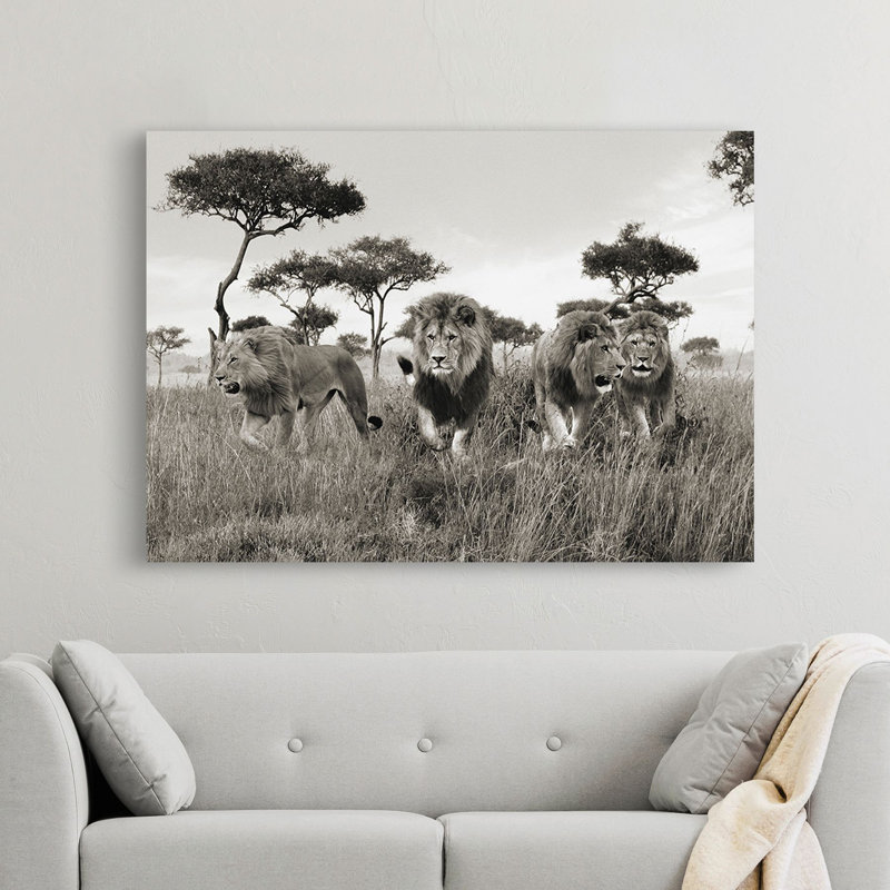 Brothers, Lions, Masai Mara, Kenya - Wrapped Canvas Print, 50cm H x 70cm W x 4cm D